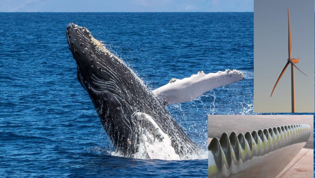 Biomimicry