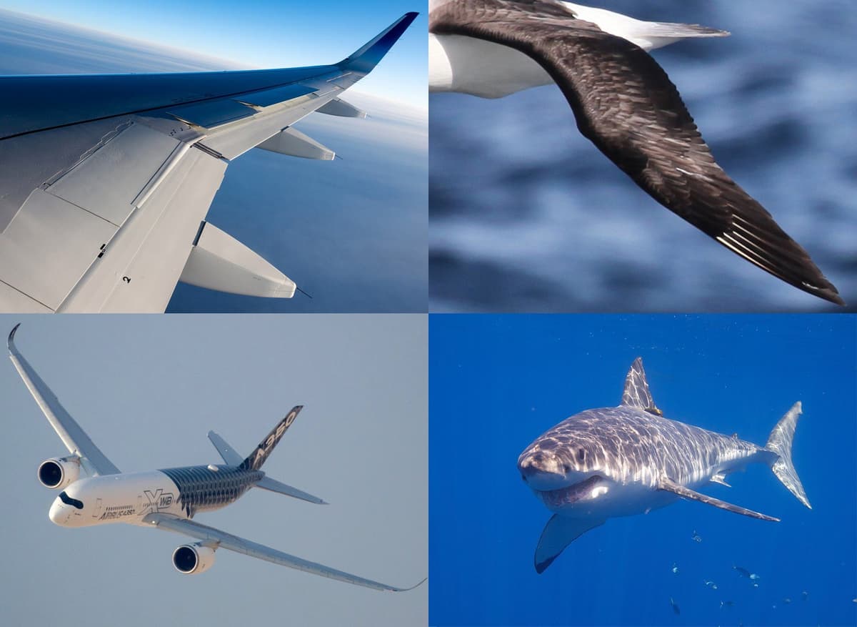 Biomimicry