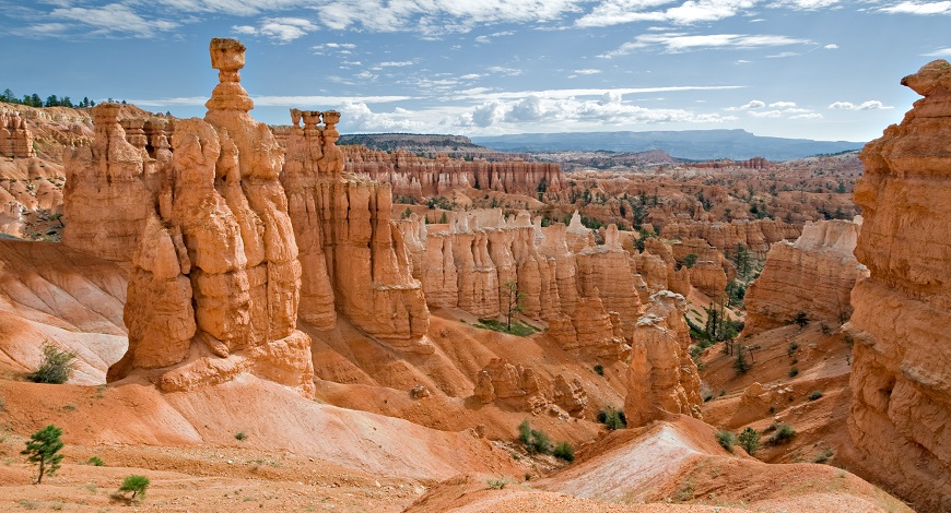 Geology course: All Details About This Academic Program