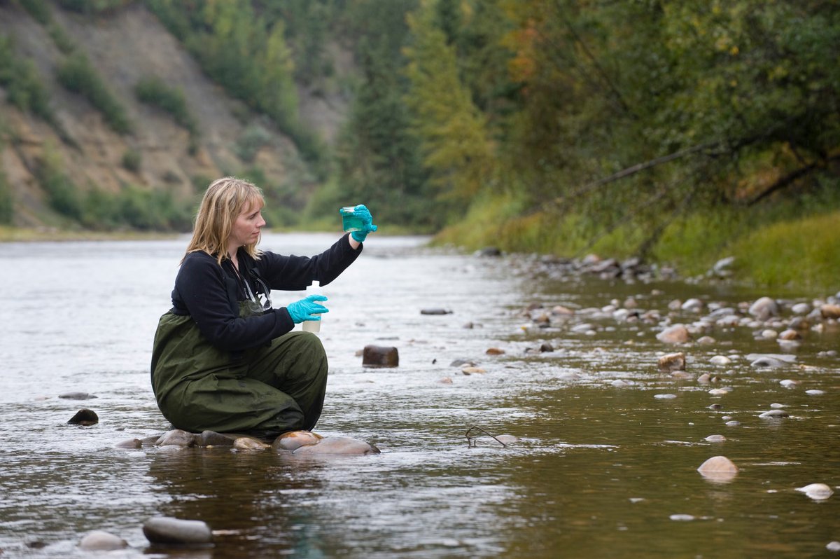 Careers In Science