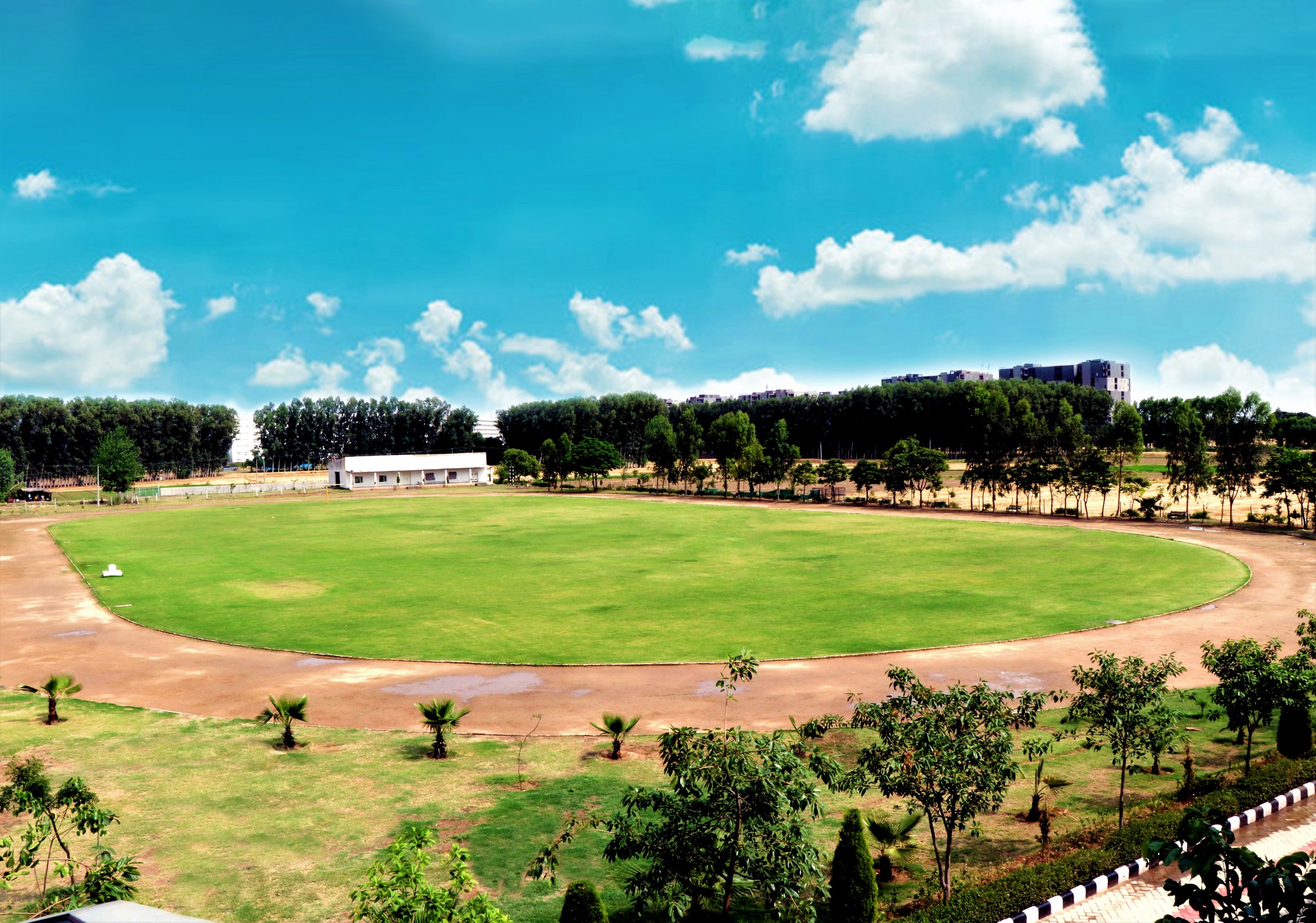 Top 20 Artificial Intelligence Engineering colleges in India