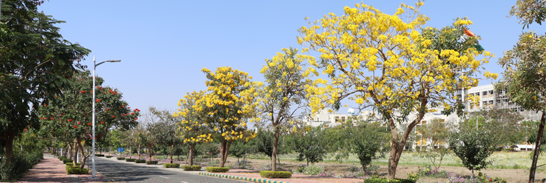 IISER Bhopal
