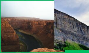 Top 20 Geology Colleges in Andhra Pradesh