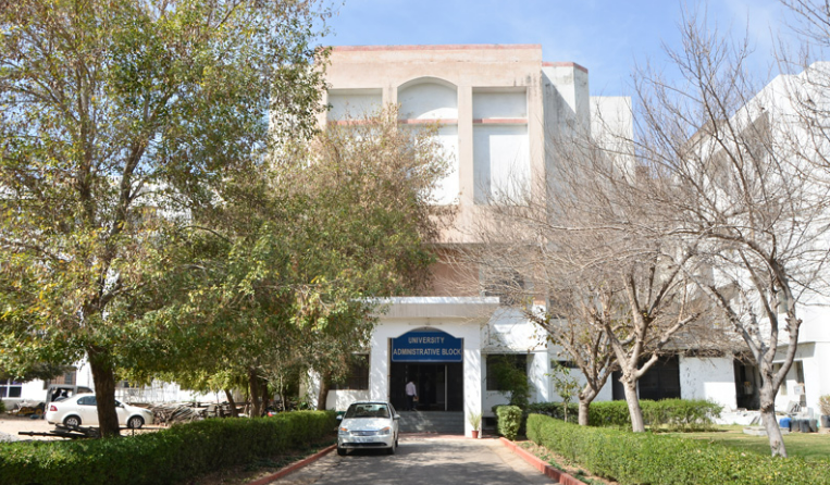 Maharaj Vinayak Global University