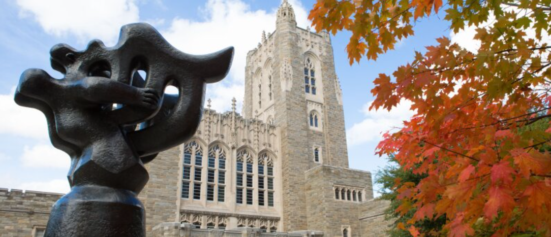 Princeton University