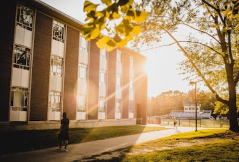 Harvard University