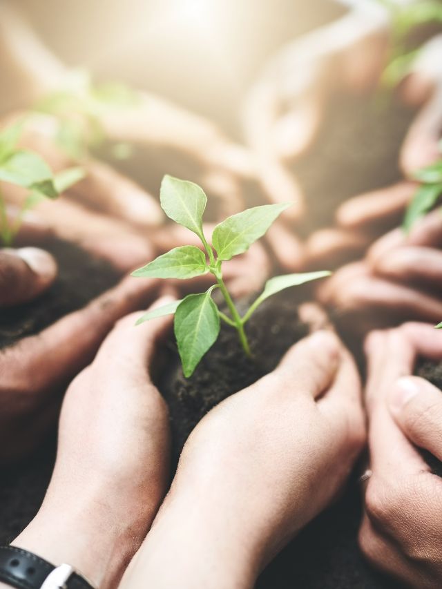 Nurturing Spiritual Values: 5 Powerful Tips for Parent