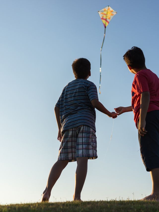 Makar Sankranti: Life Lessons Soared High with Kites