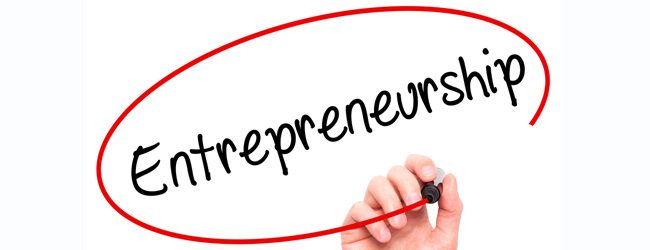 Top 13 Entrepreneurs in India 2024 Shaping the Future