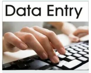 Data Entry Jobs in 2024: Navigating Opportunities in the Digital Landscape