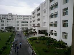 Bsc Agriculture 3