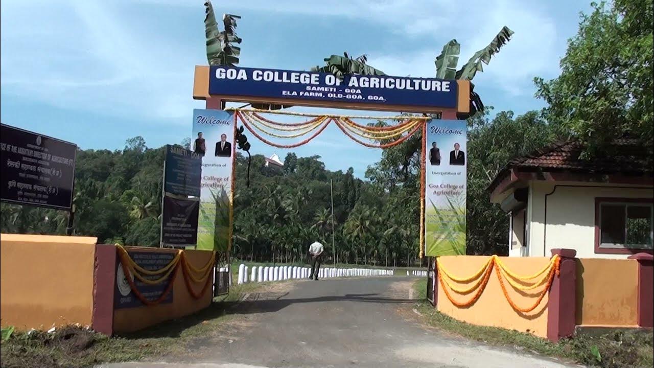 Msc Agriculture 1