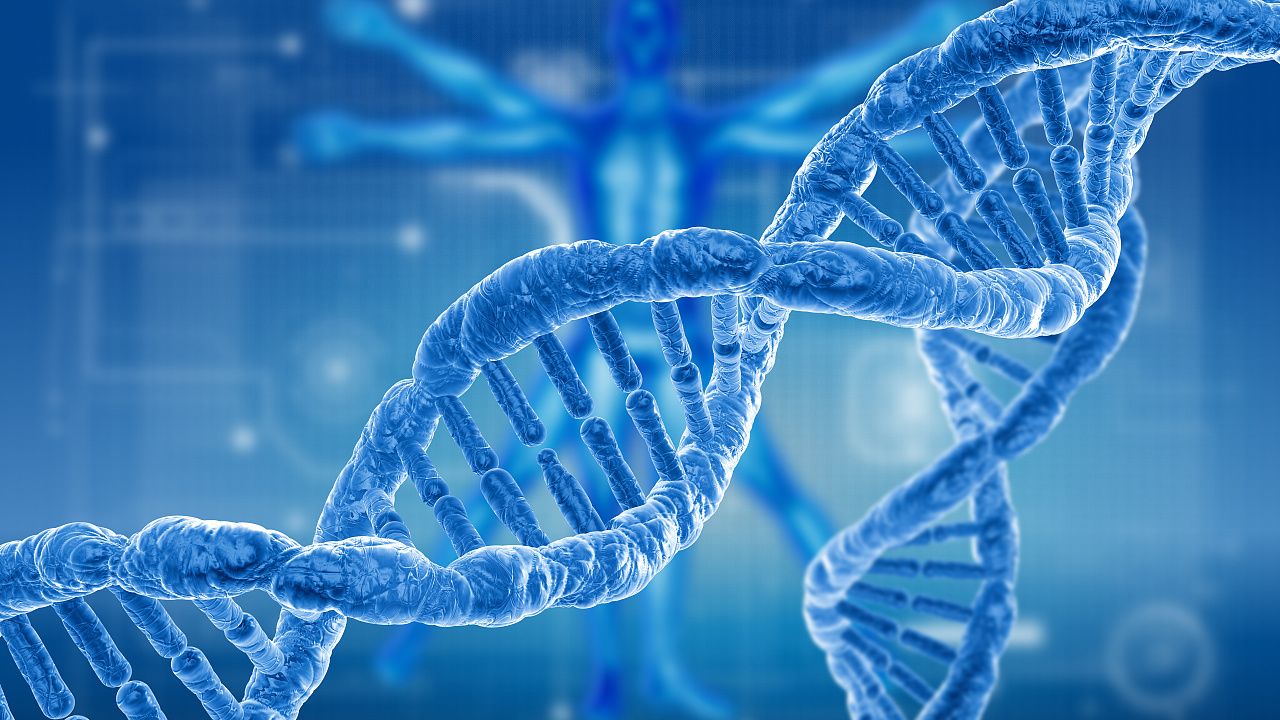 Genetics 1