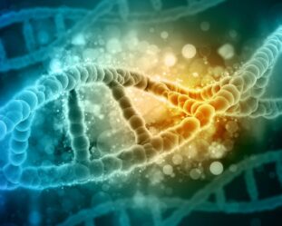 Top 10 MSc Biology Colleges in India
