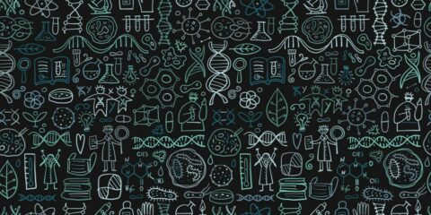 Studying Biology For NEET UG 2025: A Great Guide For Mastering The Subject
