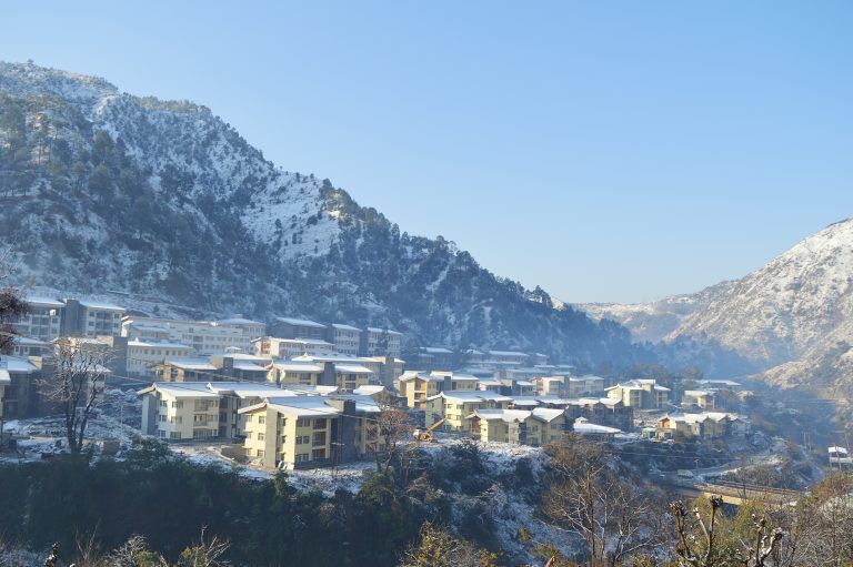 IIT Mandi researchers show great drug can reverse type 2 diabetes