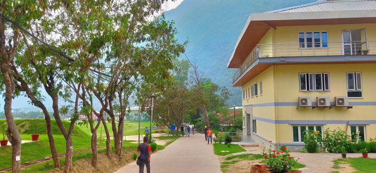 IIT Mandi researchers discover great molecular mechanism