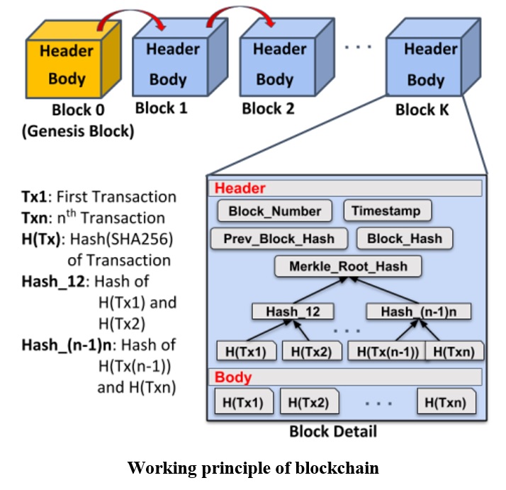 IIT Jodhpur researchers make great Blockchain protocol more efficient