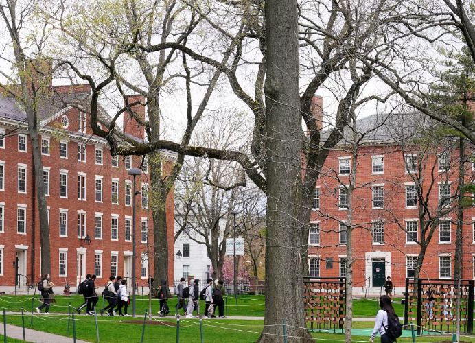 10 Free Harvard University Courses to Elevate Your Tech Skills