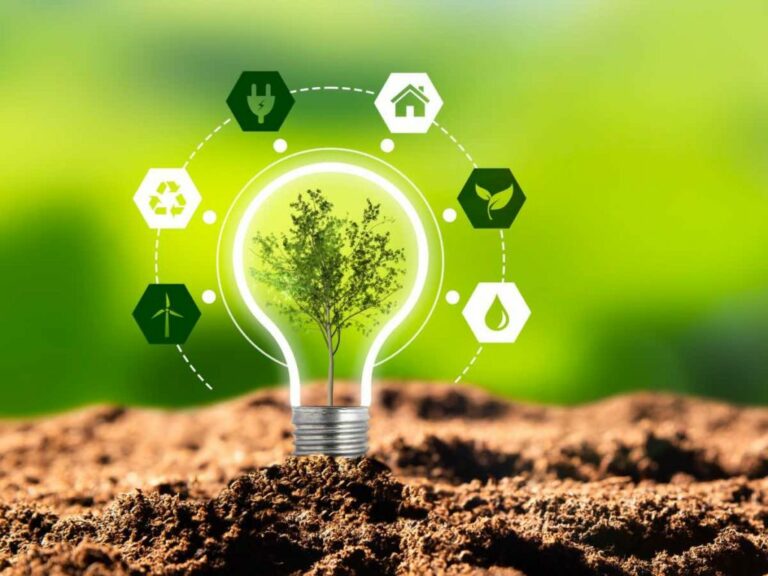 Career Options in Environmental Science 2024