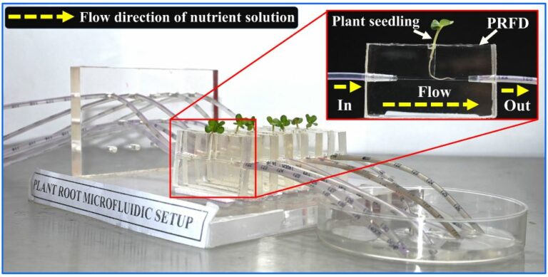IIT Guwahati researchers use microfluids to study
