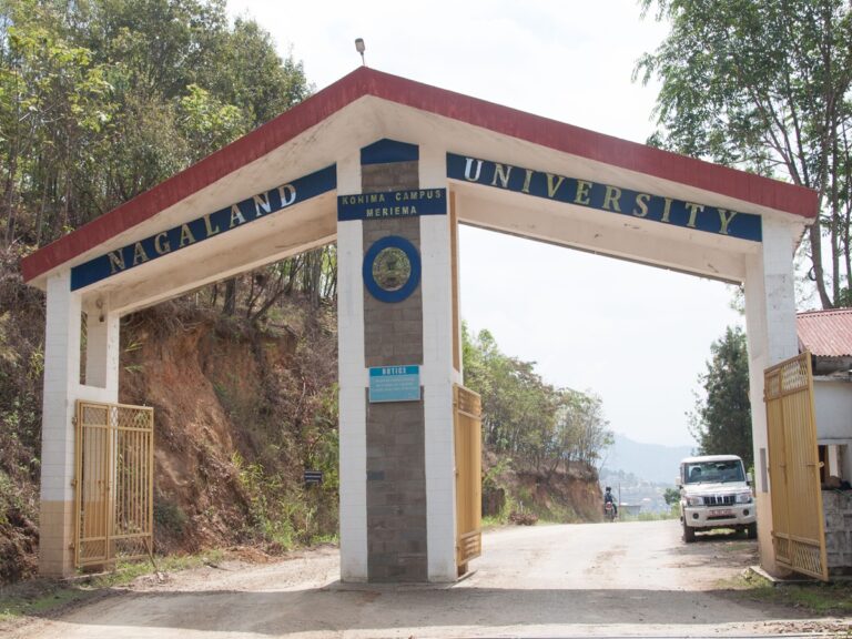 Nagaland University launches great new course