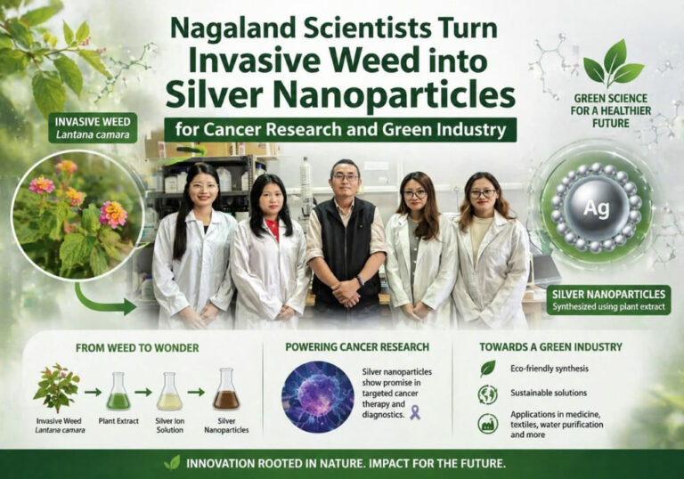 Nagaland Scientists Turn Invasive Weed into Silver Nanoparticles for Cancer Research and Green Industry