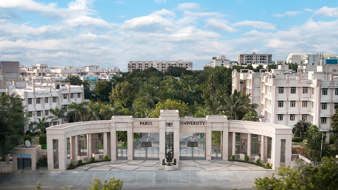 Top 20 BBA colleges in India