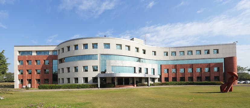 Amity University, Jaipur