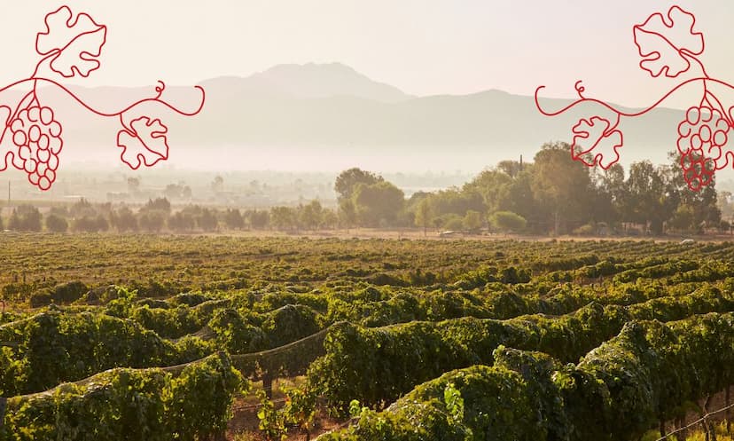 BSc Agriculture colleges in Rajasthan