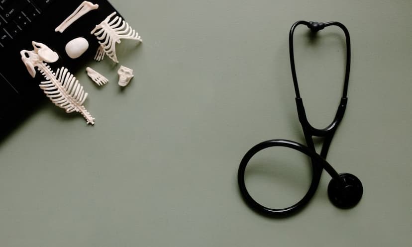 Top 20 Nursing Colleges in Uttar Pradesh latest list 2023