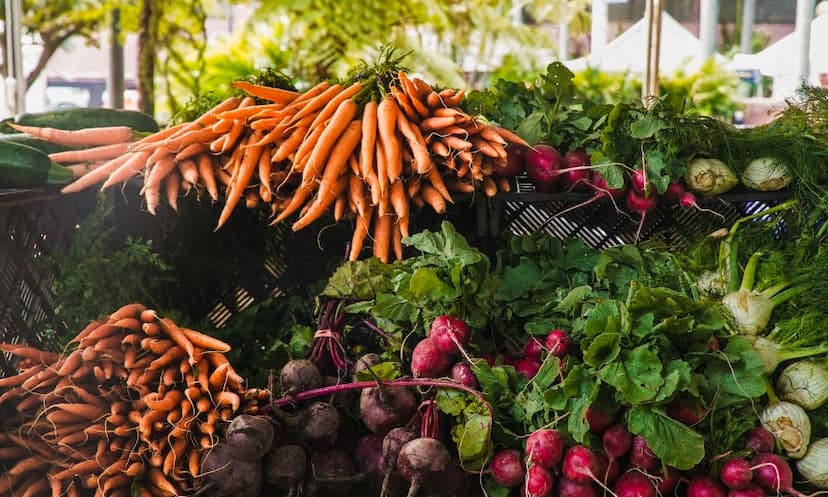 Top MSc Agriculture Colleges in Noida latest list 2023