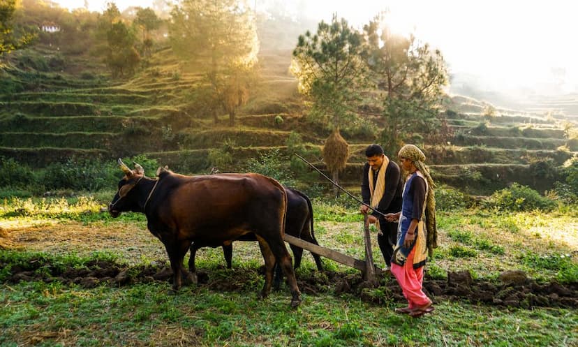 Top BSc Agriculture Colleges in Noida