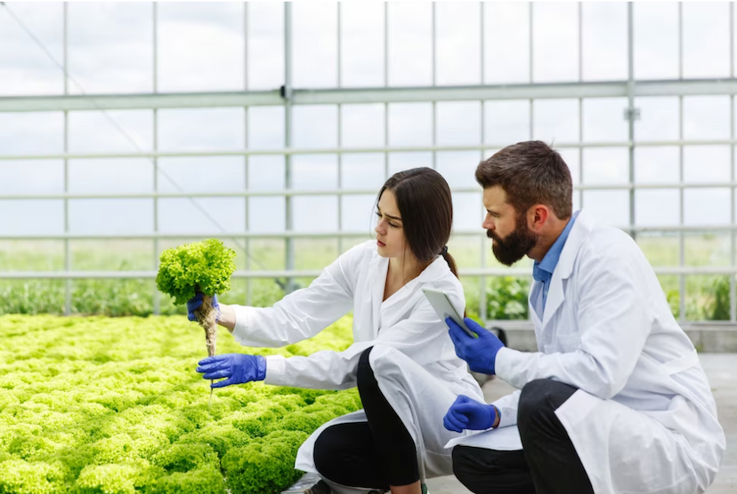 Biotechnology Engineers