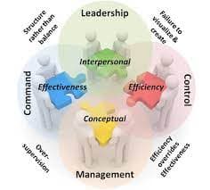Leadership And Management Chops