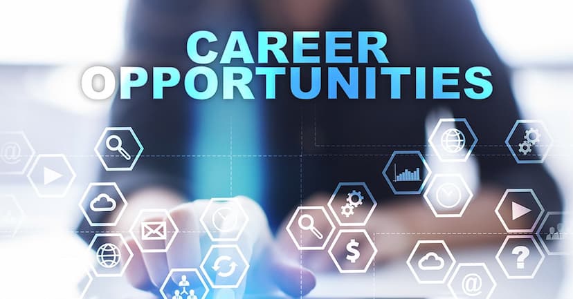 Career Options after Bachelor of Management Sciences 2024