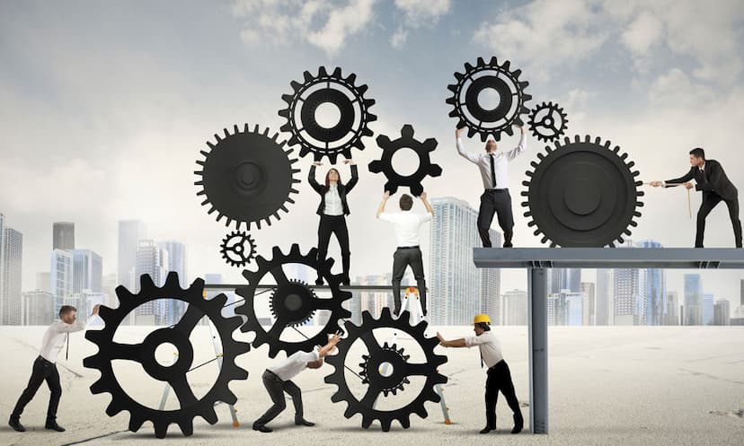 Career Options after Bachelor of Management Sciences 2024