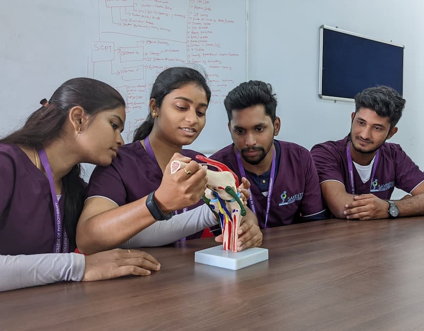 Career Options After Bachelor of Physiotherapy