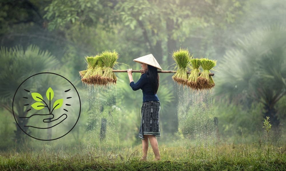 Top 20 MSc Agriculture colleges in Rajasthan Latest List 2023