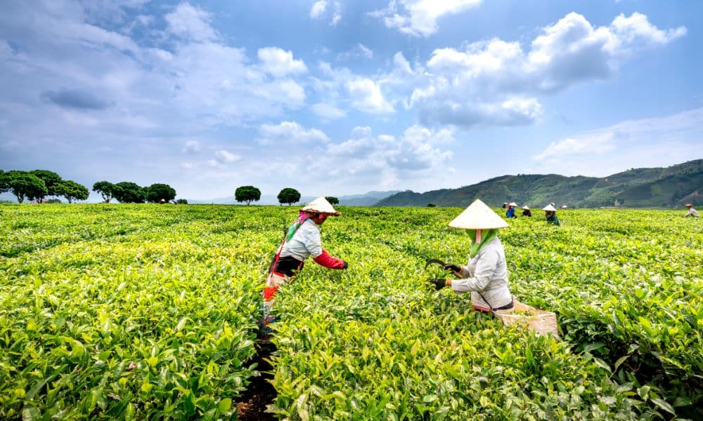 Top BSc Agriculture Colleges in Haryana 