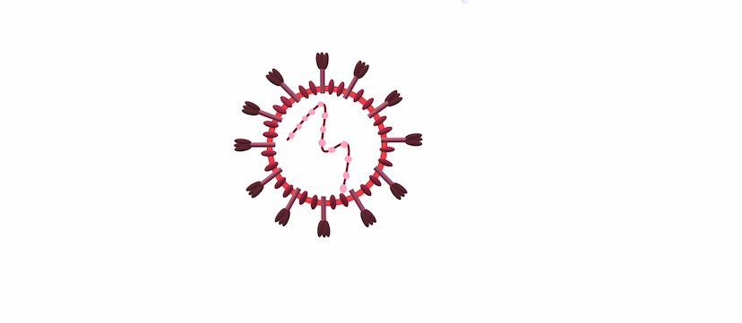 IIT Guwahati Admission 2020