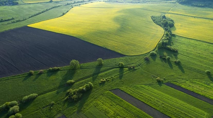 B.tech. Agriculture vs B.Sc. Agriculture