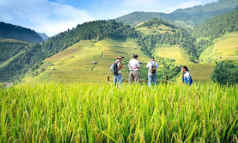 Top MSc Agriculture Colleges in Uttar Pradesh