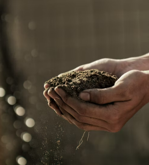 Top BSc Agriculture Colleges in Jaipur