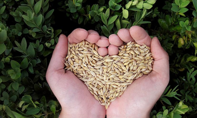 Top BSc Agriculture Colleges in Kolkata