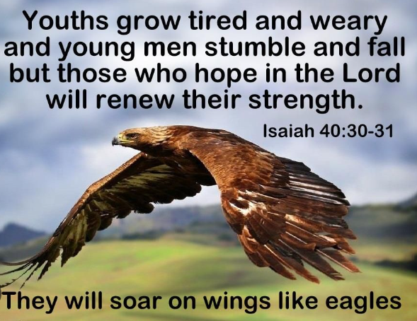 Isaiah 40 Rejuvenating Resilience In Career Fatigue