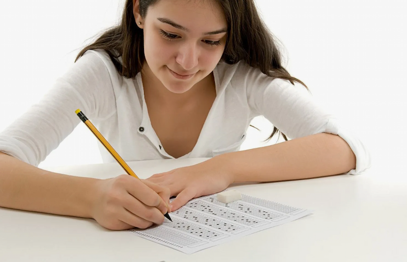 Csir Net Notification 2024 Exam Dates, Application Process, Eligibility, And More