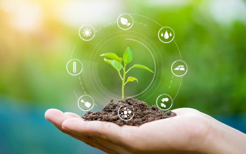 Agricultural Cost Management 4