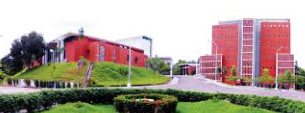 Iist Rank List 2024 Released Check Rank, Download Merit List & Counselling Details