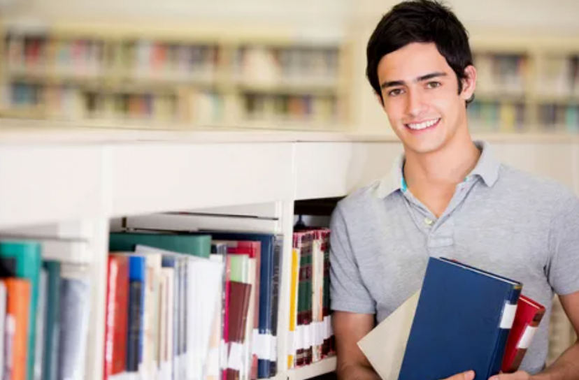 Rajasthan Pre-DElEd Result 2024: Detailed Insights